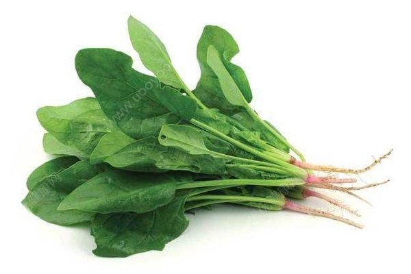 秋季护肤的蔬菜有哪些？秋季美容这些蔬菜不可少！(2)