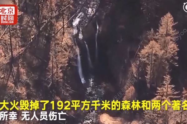 熊孩子放烟花被罚2亿，​儿童玩火注意事项(4)
