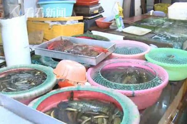 夫妻两人抓蟾蜍食用，妻子因吃蟾蜍卵中毒身亡(2)
