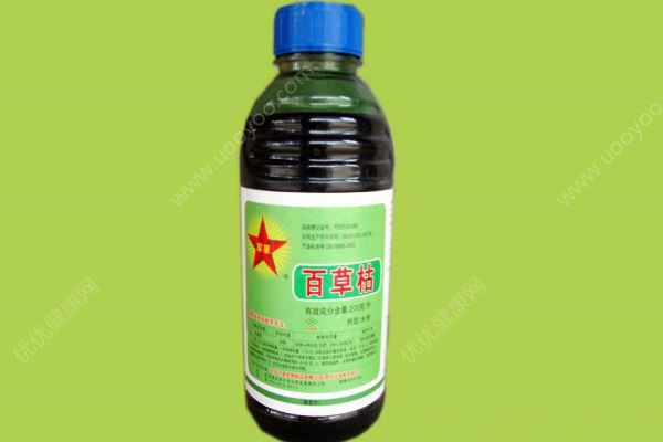 老人把百草枯当酱油做红烧肉，一家四口仅孙子没吃(3)