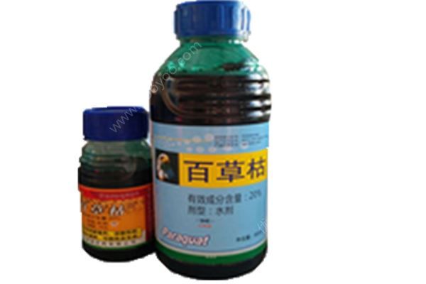 老人把百草枯当酱油做红烧肉，一家四口仅孙子没吃(4)
